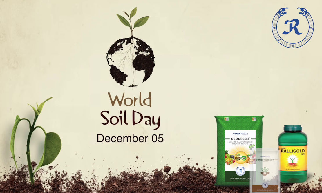 World Soil Day 2024